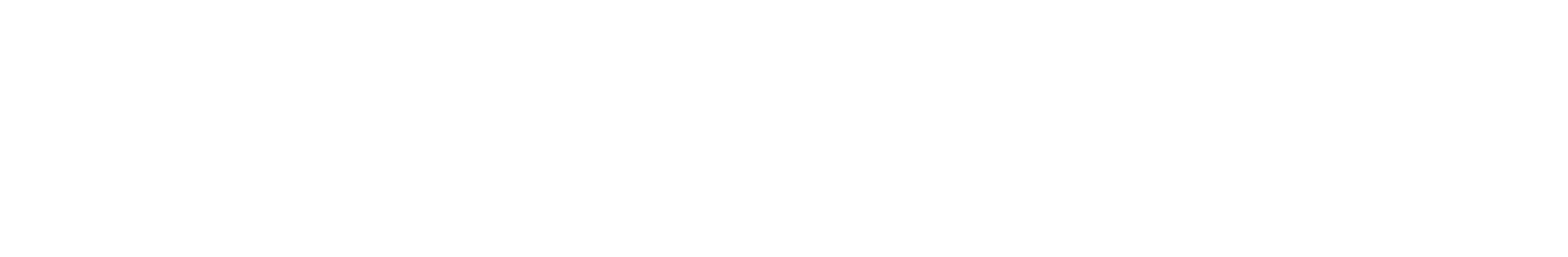 토스포스 공식 로고